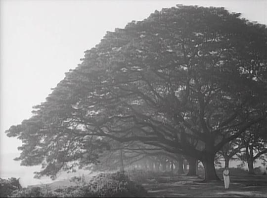 云遮星剧照