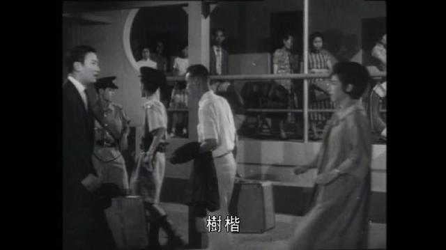 嫂夫人剧照