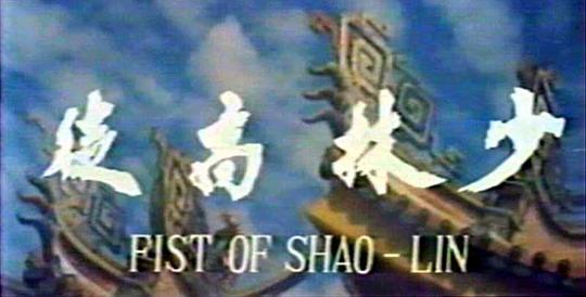 少林高徒剧照