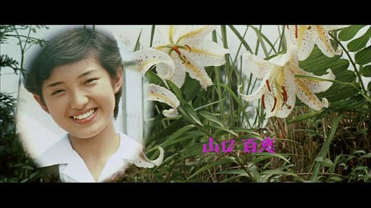 花之高二三重唱：初恋时代剧照