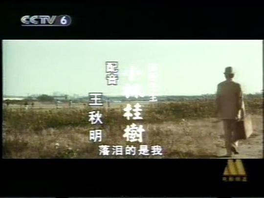 寅次郎的故事16：葛饰立志篇剧照