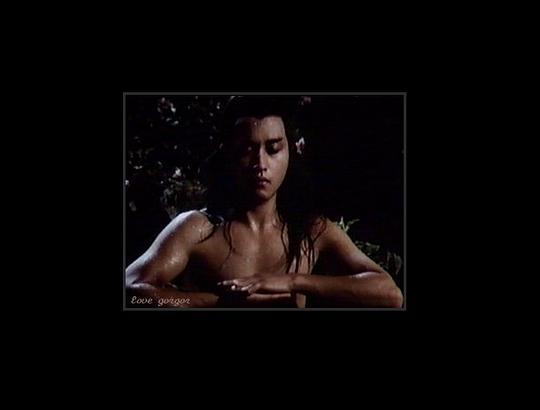 杨过与小龙女剧照