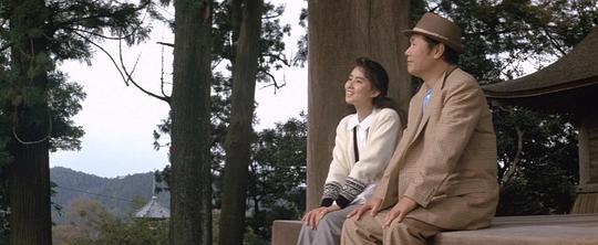 寅次郎的故事39：寻母奇遇记剧照