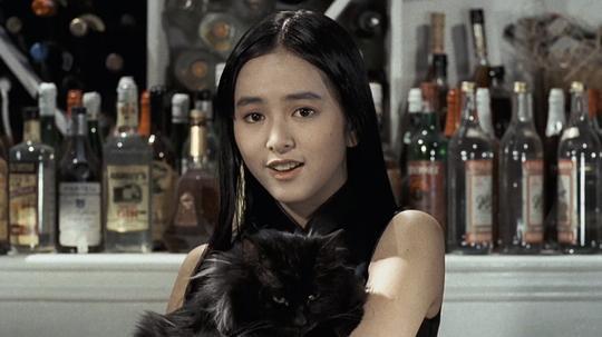 卫斯理之老猫剧照