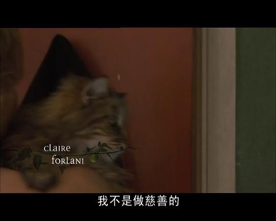 冒牌人生剧照