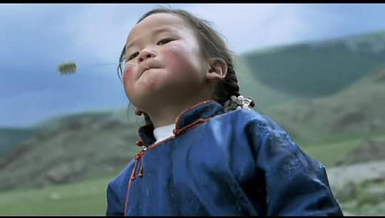 小黄狗的窝剧照