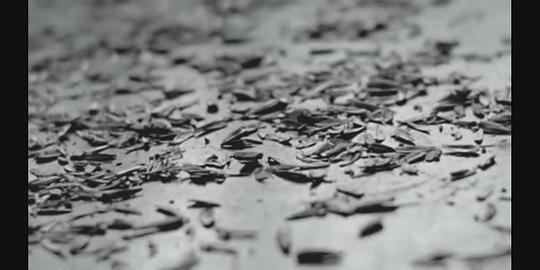 黑道新鲜人剧照