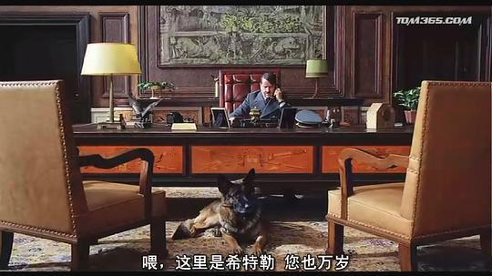 拜见希特勒剧照