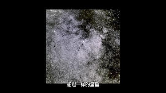 黑夜遥望剧照