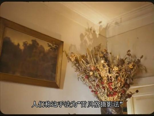 雷贝格与塔可夫斯基：《潜行者》的反面剧照