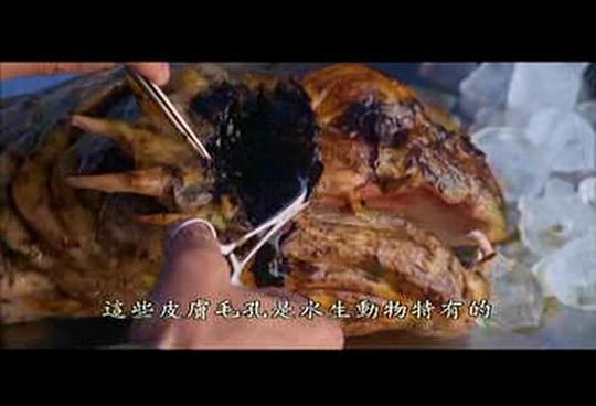尼斯湖怪剧照