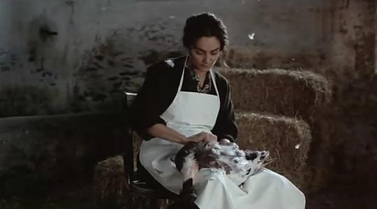 牛奶/蛋奶蜜三部曲之牛奶剧照