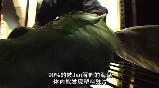 塑料成瘾剧照