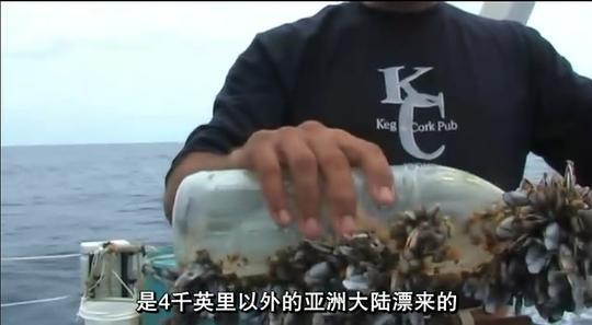 塑料成瘾剧照