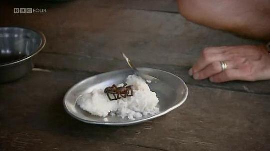 吃昆虫能拯救世界吗？剧照