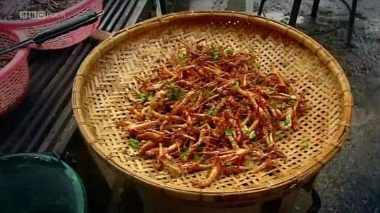 吃昆虫能拯救世界吗？剧照