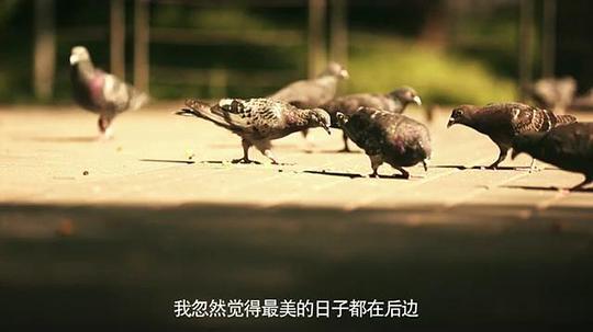 流亡的故城剧照