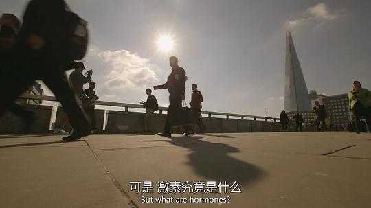 荷尔蒙的神奇世界剧照