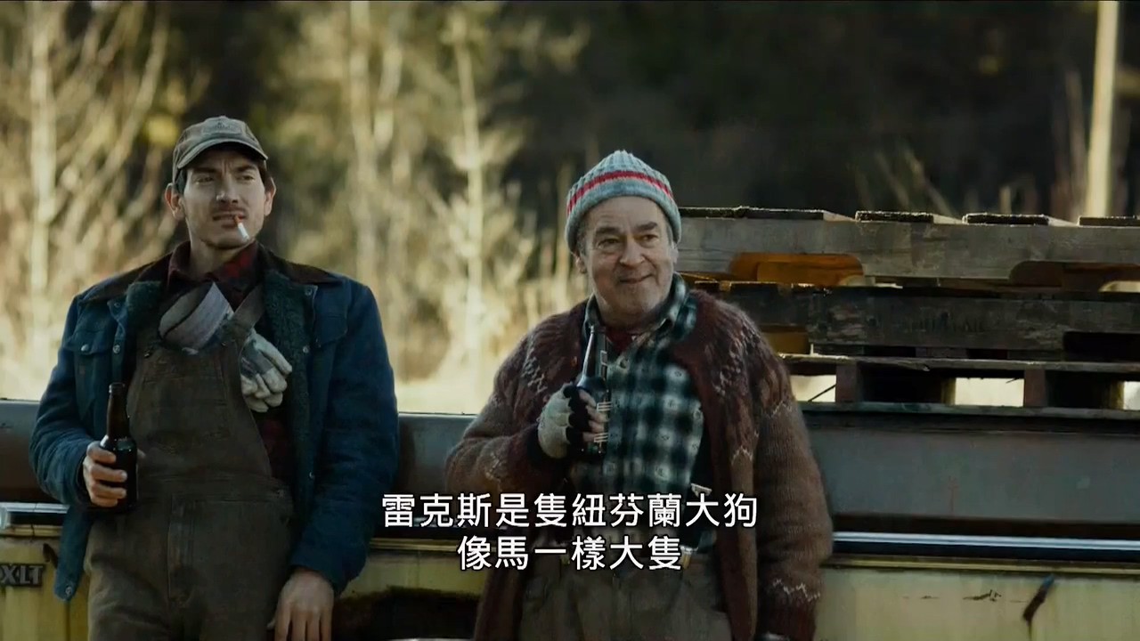 黑蝇剧照
