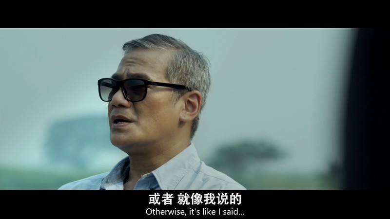 突袭2暴徒剧照