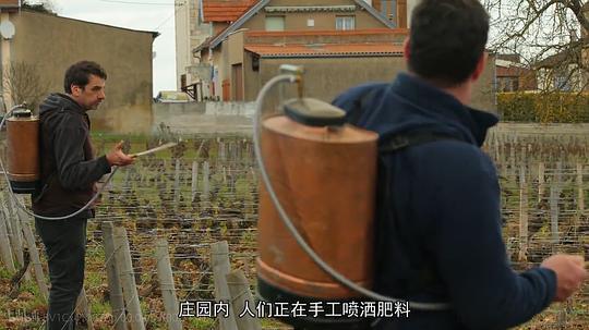 法国葡萄酒大师剧照