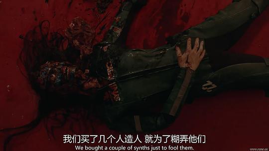 合子异种剧照