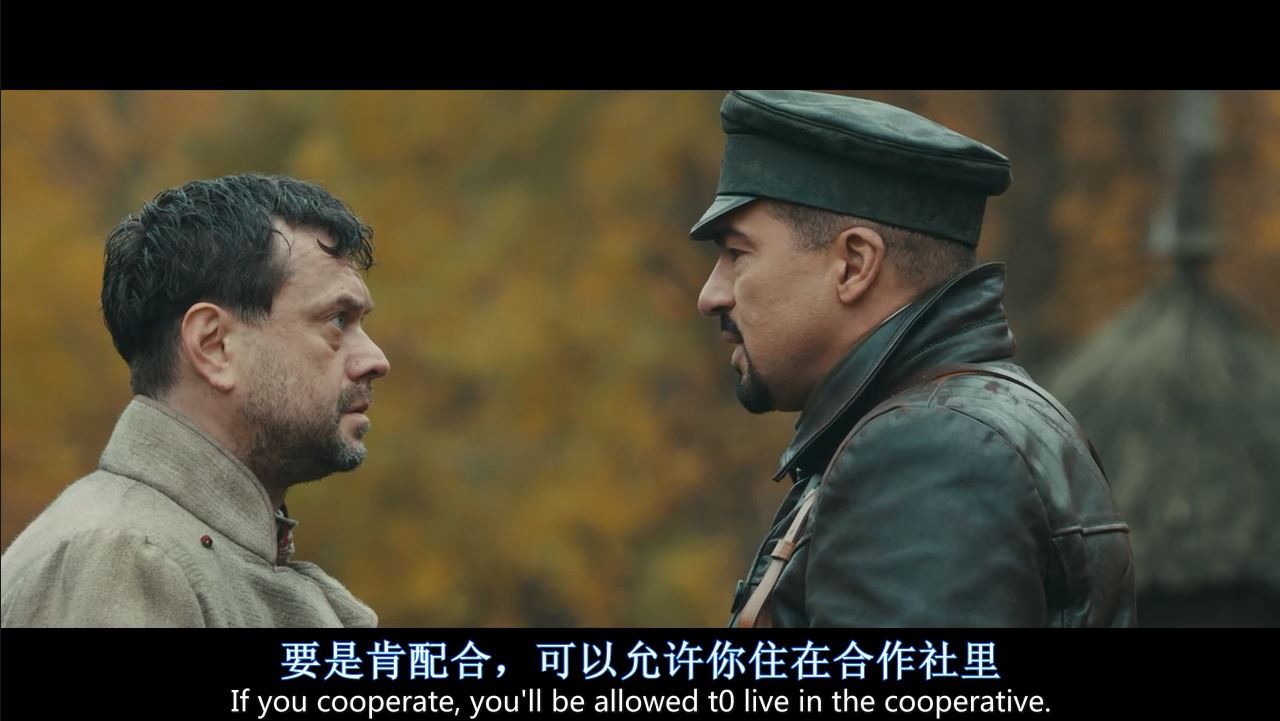 苦难的收获剧照