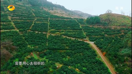 湘西剧照