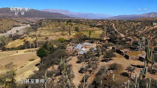 魅力阿根廷剧照