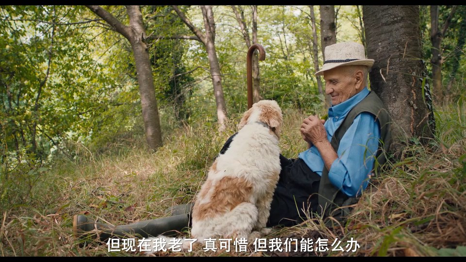 松露猎人剧照