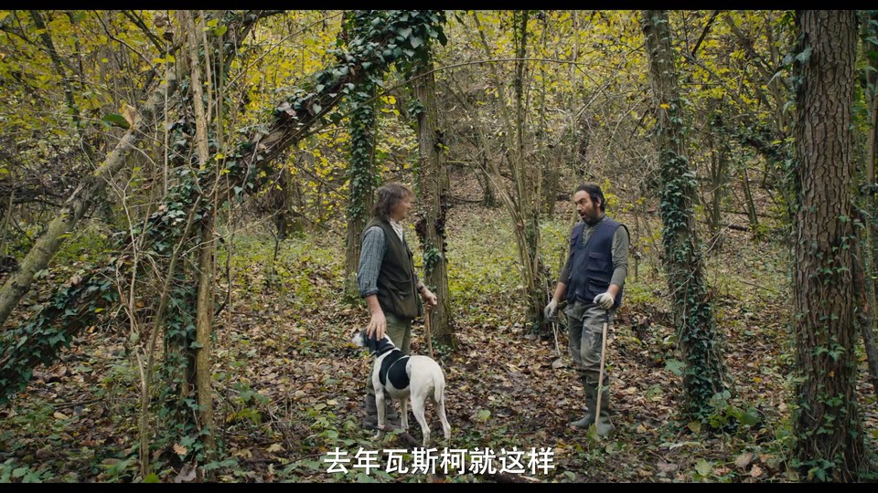 松露猎人剧照