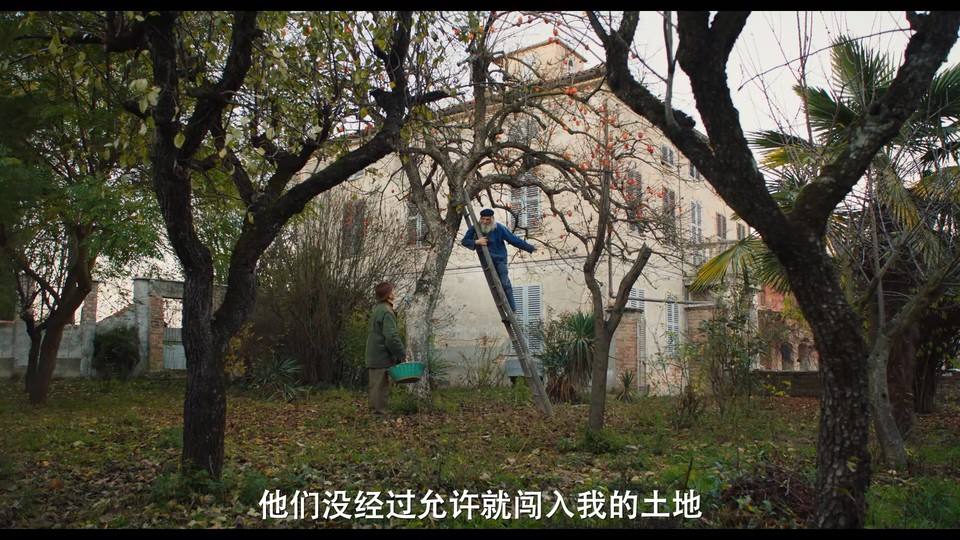 松露猎人剧照