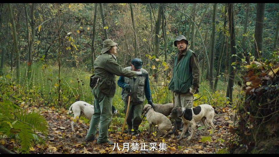 松露猎人剧照
