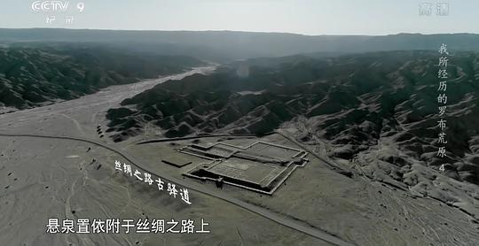 我所经历的罗布荒原剧照