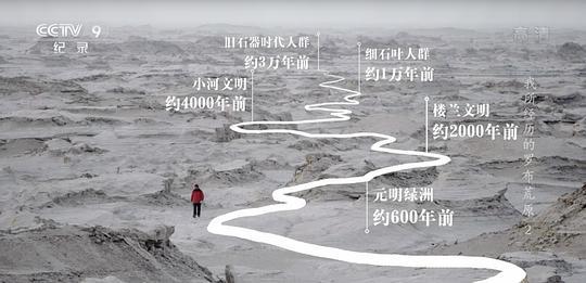 我所经历的罗布荒原剧照