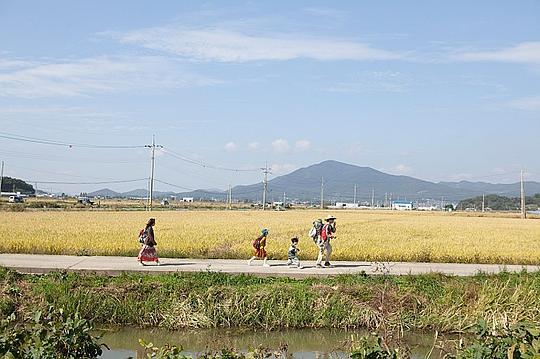 高速公路家族剧照
