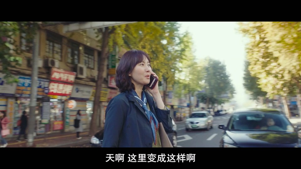 人生真美丽剧照