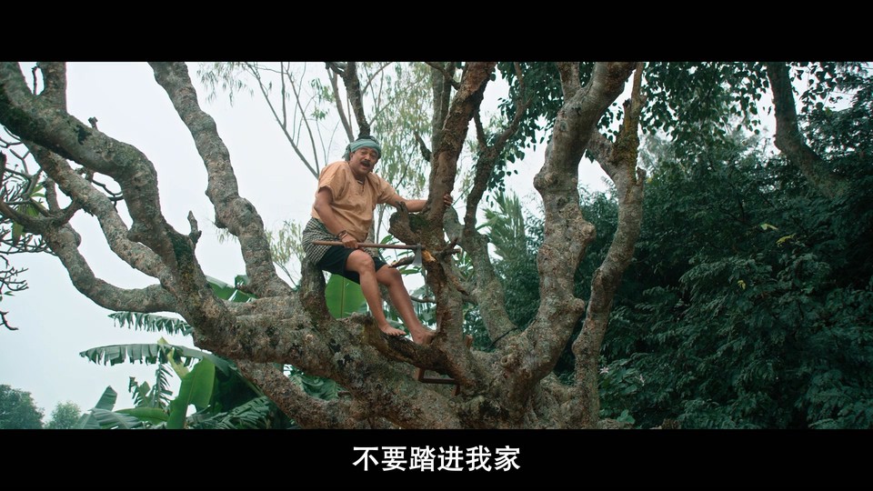 谁是谁的菜剧照