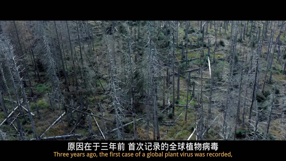 双子座计划剧照