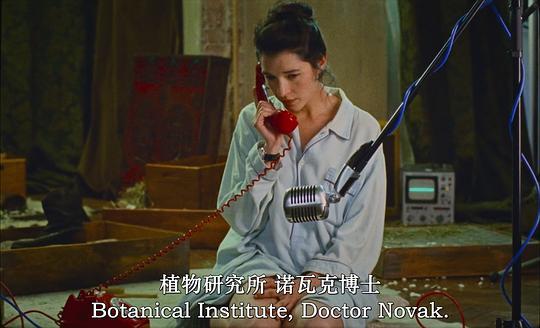 窈窕马戏剧照