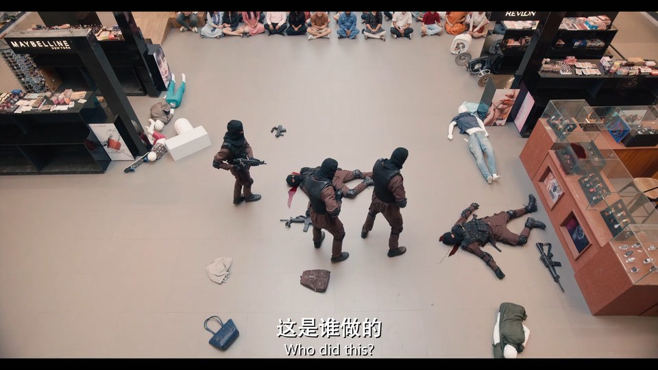 野兽派特工剧照
