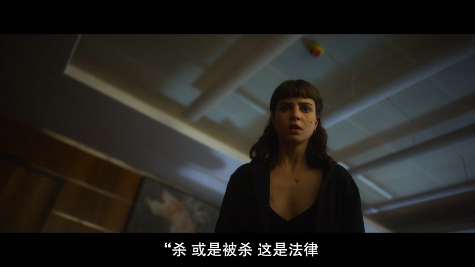 以复仇为名剧照