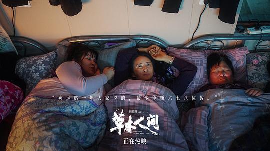 草木人间剧照