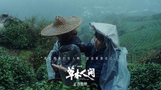 草木人间剧照