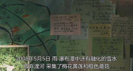 唱歌的六个女人剧照