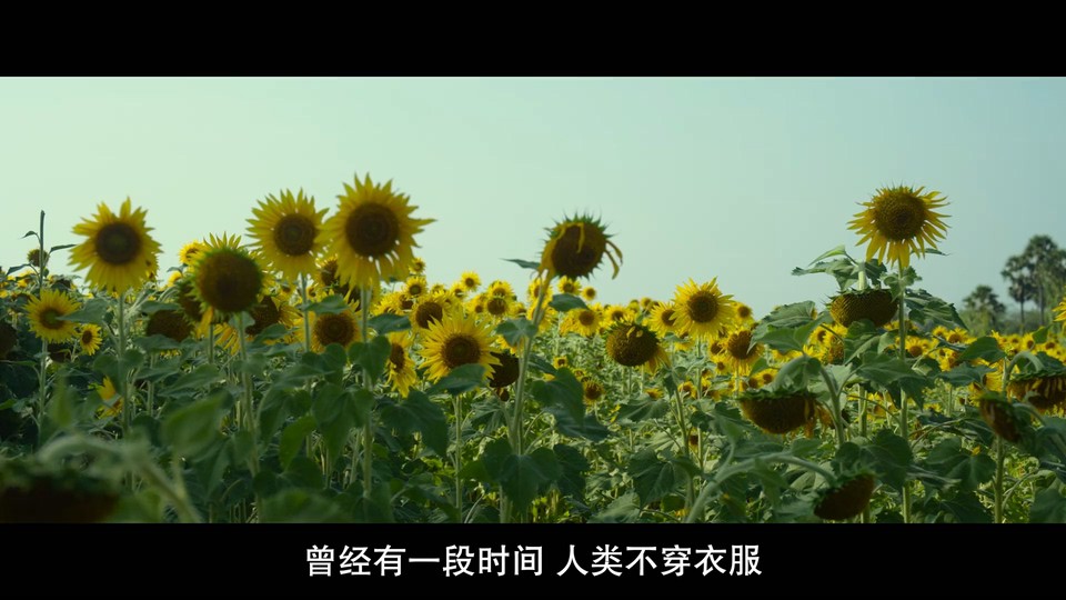 儿子的选择剧照