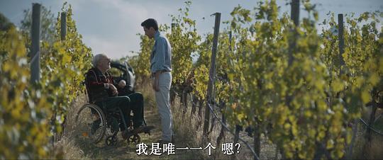 我生命中最美丽的世纪剧照