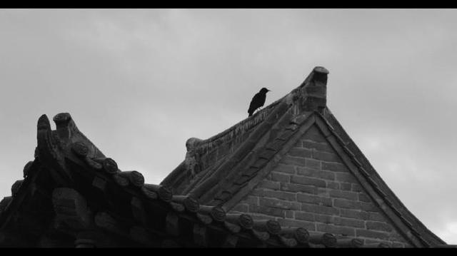 云淡风轻剧照