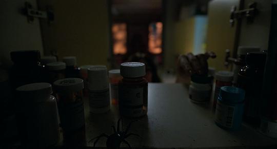 屋中异蛛剧照